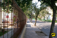 bresil.porto_.alegre.2005-118 bresil.porto_.alegre.2005-118