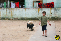 bresil.porto_.alegre.2005-173