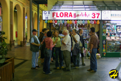 bresil.porto_.alegre.2005-213 bresil.porto_.alegre.2005-213