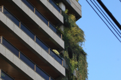 bresil.porto_.alegre.2005-494