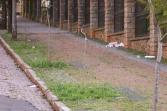 bresil.porto_.alegre.2005-495