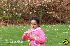 chasse-aux-oeufs-2009-100