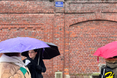 DiagnosticMarchant16.02.23-72