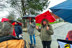 DiagnosticMarchant16.02.23-81