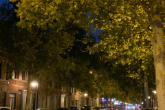 placeclement2019inauguration-119 placeclement2019inauguration-119