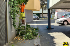 RuedelaBanque.Juin2023-230