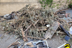 RuedelaBanque.Juin2023-296